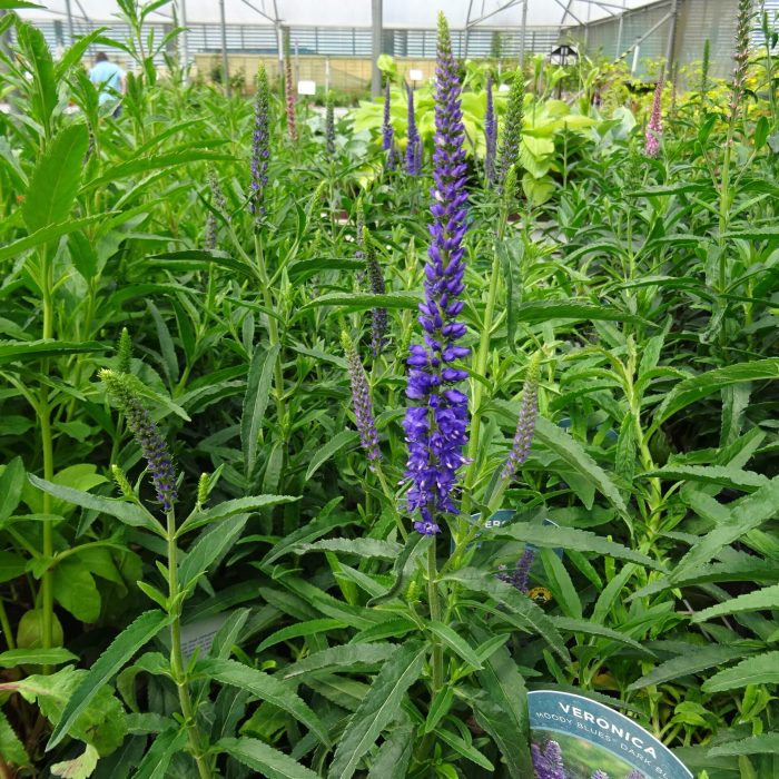 80e3ddba-6ea3-4542-8a88-9a5ea118d90c