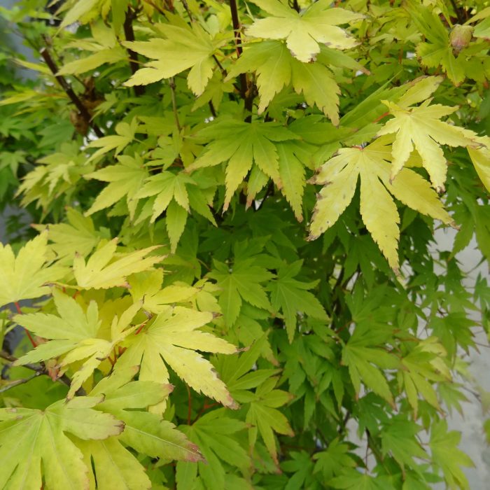 90005f7b-0690-4b15-8013-2a83486f9d9a