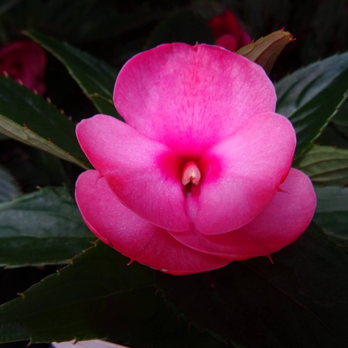 9f99c8cd-d5db-418c-a792-eb32b4139ba9