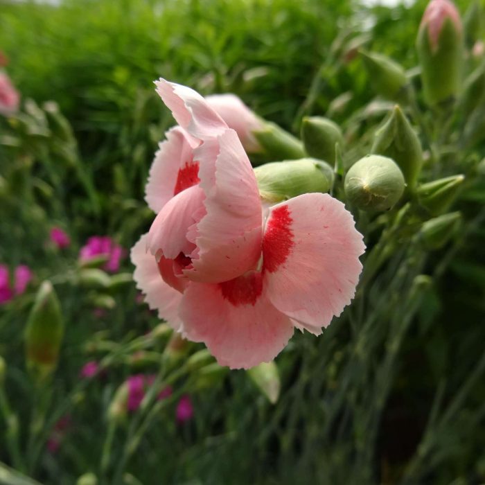 f6d776f6-8112-4feb-a087-93d5511c4f68