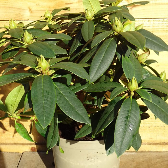 61766531-1486-41c0-8f11-75f0570e4e51