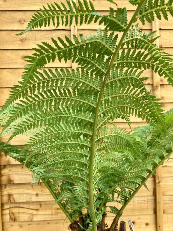 40256153a27cc411ca0a5ced2d5dabeb.jpg dccb057f-6c05-46a5-9062-d851f2b25bc6