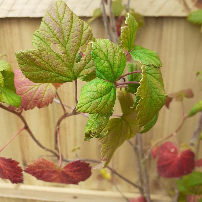 4047aed18e65ceff7ac728a5fc1d1152.jpg 2b38d5d6-4d89-46f5-b436-20a7682e83dc