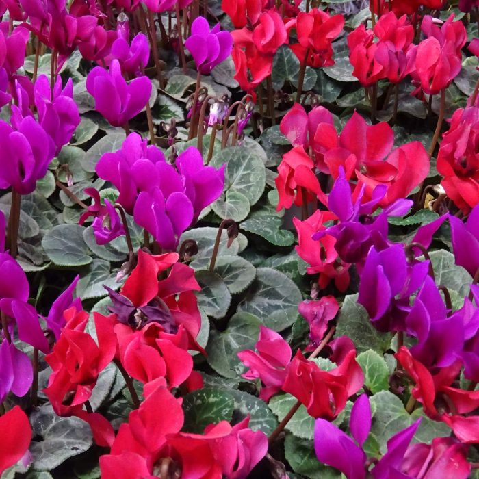 c9822dc1-5d0c-479f-8fe6-35c839b55f45