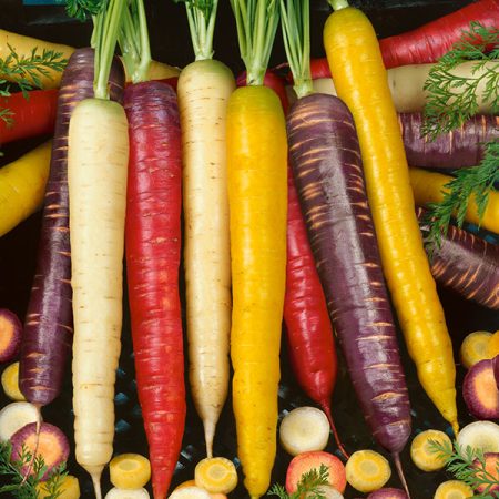 b78618a2-5f2e-42b6-b159-227b8b28ee61