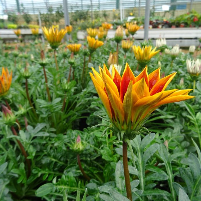 67471271-deb8-4aa3-adeb-b864919e8c22