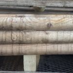 f0033e49-c699-43d8-b96c-b70a0b96fef1