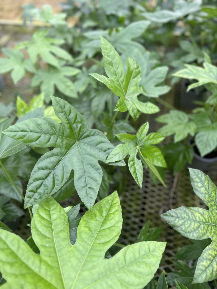 9510613d-f99c-426e-ba3f-7a0f2968a9ce