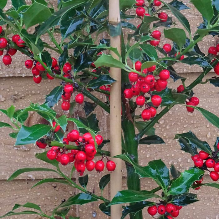 429f073330dde313c06b1bd80b7c760a.jpg 1b79be7a-29b5-4f11-8c43-7bc205e5d8f1