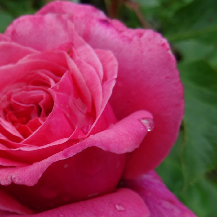 a90fed11-93fa-4487-ad37-65055792bcd4