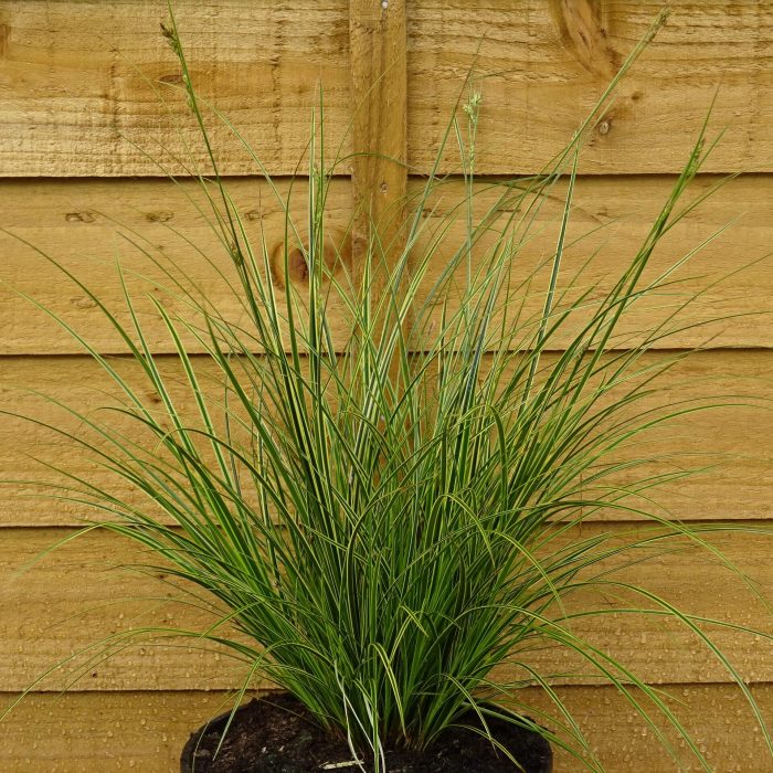 4314c4d535ca5357a2a0127faf3c9ee1.jpg d8720267-0da2-4a7c-b836-3184400cb8d5