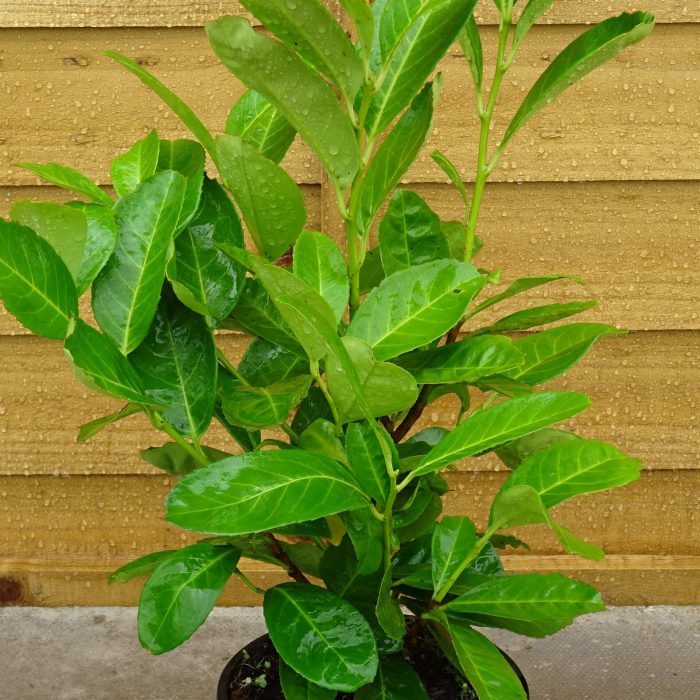 3da77f40-773d-4700-8eca-bad7b67e39c7