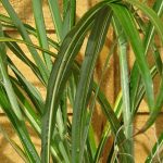 f42f9be4-00ca-482b-8e3f-9c9cc7d7d655