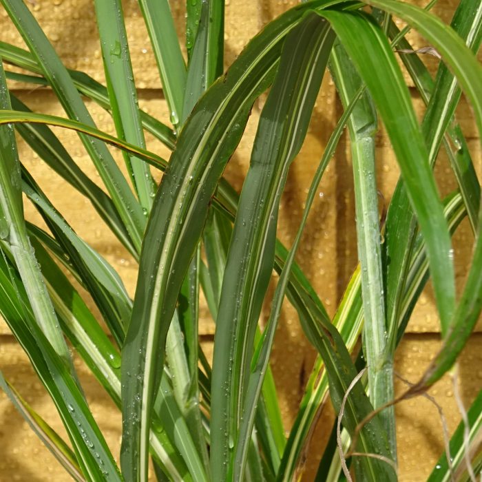 f42f9be4-00ca-482b-8e3f-9c9cc7d7d655