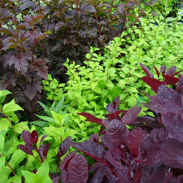 8b8d4671-04b1-471a-8745-ac6192f7b86a