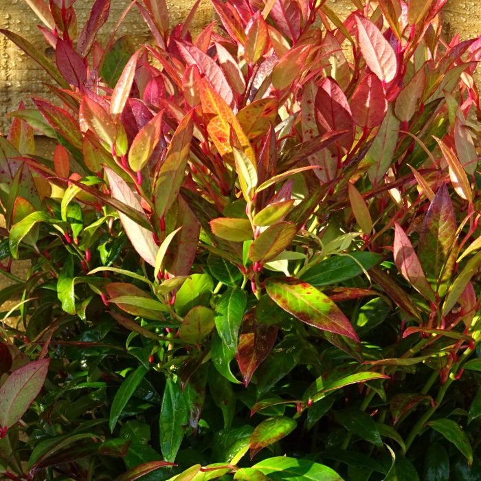 781d243a-413d-47b3-bb79-0cc32db1d6df