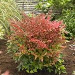 6ba3ae6e-81a9-4609-94b9-4dd863ccff90