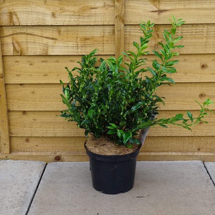 c5d0afde-a283-4bd0-ab9f-b1b9f69607a7