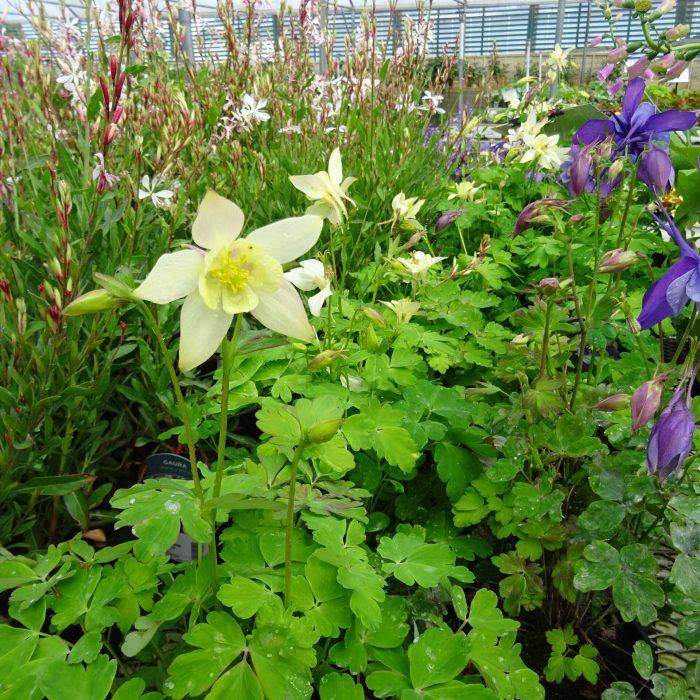 6c4f5dd9-128f-4432-9e8f-3c8710df99a8