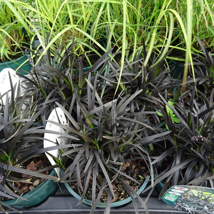 efa1cab8-2dac-4413-a929-99450cad1158