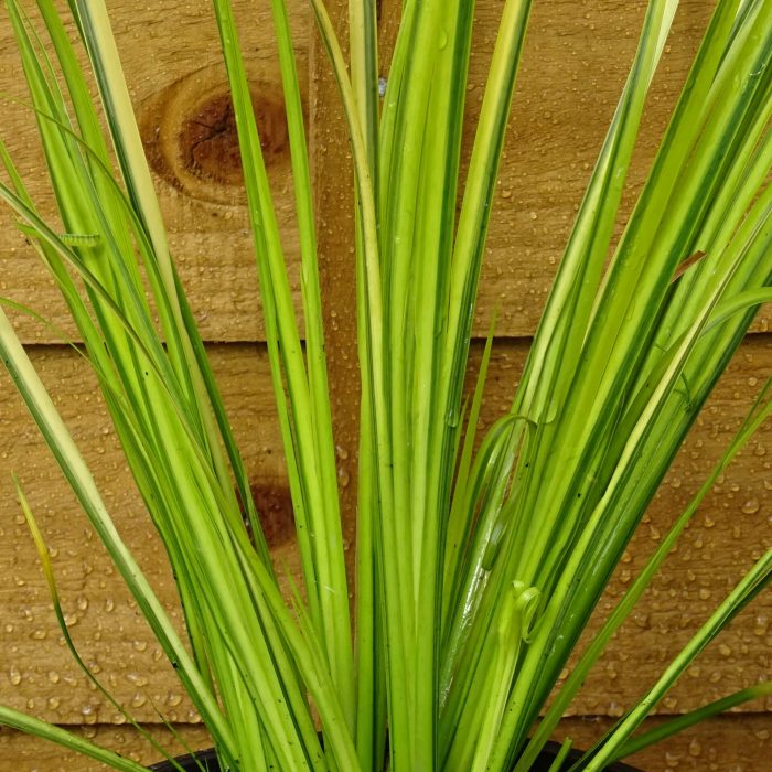 b46967b8-6b01-4cba-82b1-9d8e96c6c49d