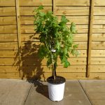 3f4cd1bd-94e4-4945-9a02-79972d73a0e3