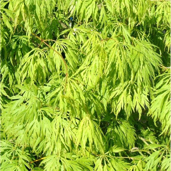 20382031-8d2c-438a-bab2-3fbccff11226