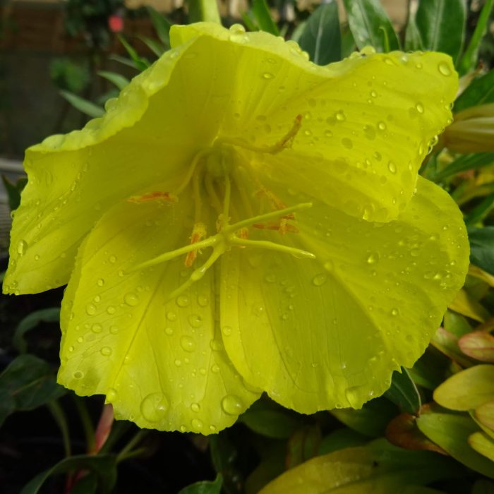 f4db9bf4-3b9e-49a6-a6be-766ea1a73696