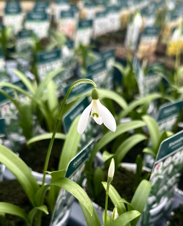 4757339829e547ff28ed8c7950f6ed7a.jpeg 456e5778-7495-4907-96c3-bbe0a066470b