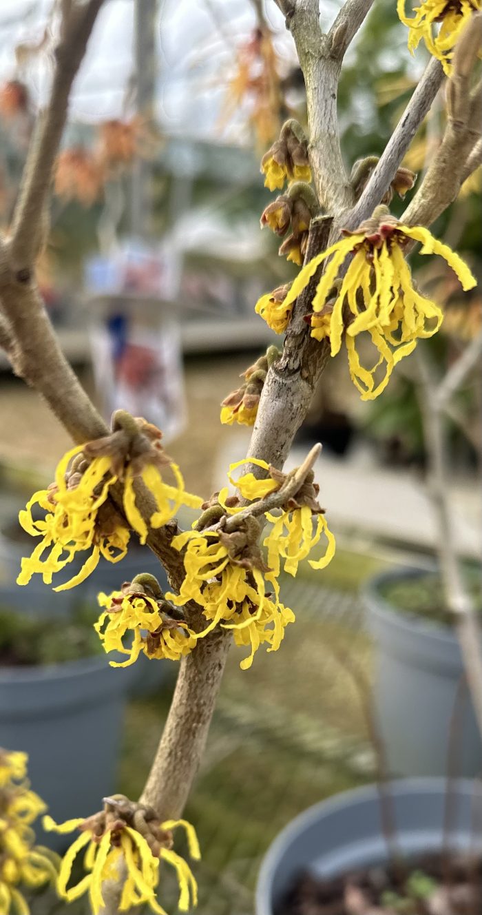 48366d0484a9e450d459187a26308d75.jpeg cea8b67c-2a8c-44ee-bc2a-e324078b669c