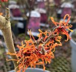 a1a011bc-c8cf-4971-a3ec-ec9001f18cbe