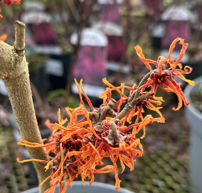 48eb02d13a17fc68effcd4012dd61ec9.jpeg a1a011bc-c8cf-4971-a3ec-ec9001f18cbe