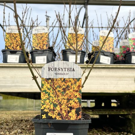 95cc221b-683d-46c1-a539-7896eb0a91ab