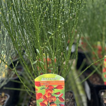 8ebe45ad-eeff-4730-9a57-ef8ff66b0030