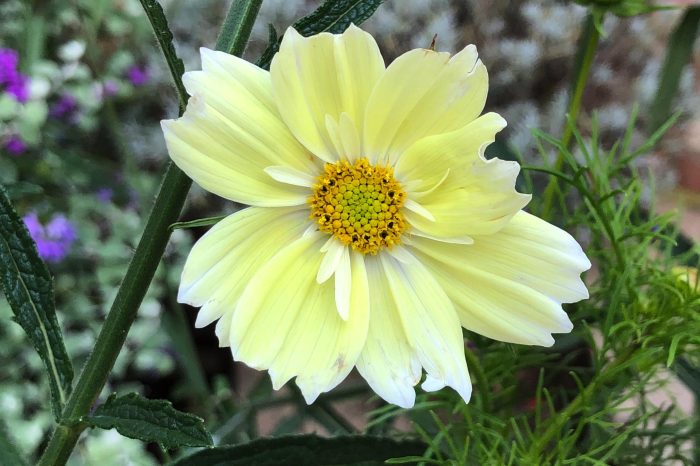 d21c07c9-b5d6-4745-a649-2b54a3f5113c