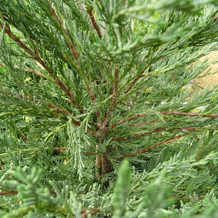 dfd6ece0-92d4-4f64-8396-802943bf9440