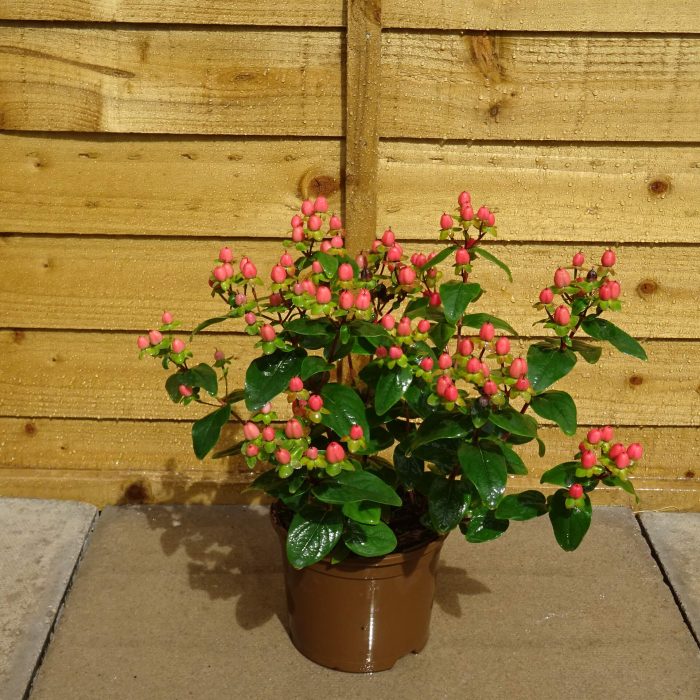 6e5f129b-709f-4ace-9cb8-6aafec6a1f52