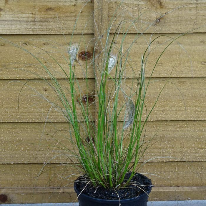 872468be-949b-4d3d-9c31-ebfd631244e6