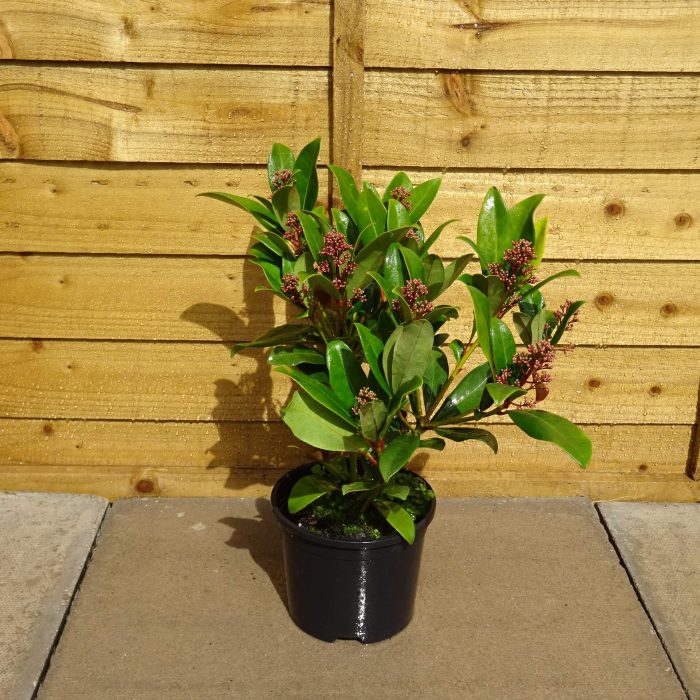 6cf27967-bb51-4a53-999c-cb0167fd1ef4