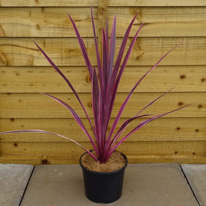 559c69a6-b9b1-4834-852f-fd100b781ea8