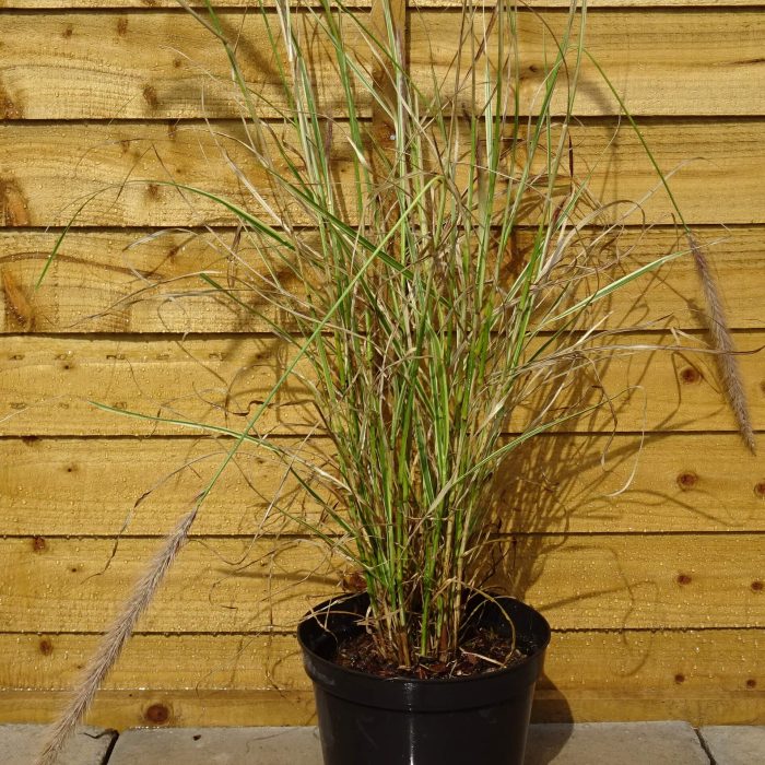 d37890e1-c57e-4e3c-b121-b112d9d94d07