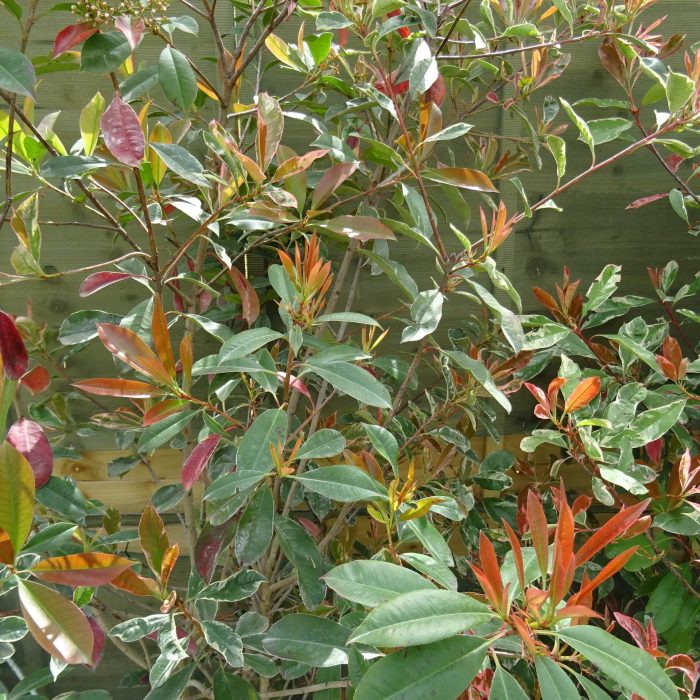 7dce97cb-2d5e-487e-8579-90847628089e