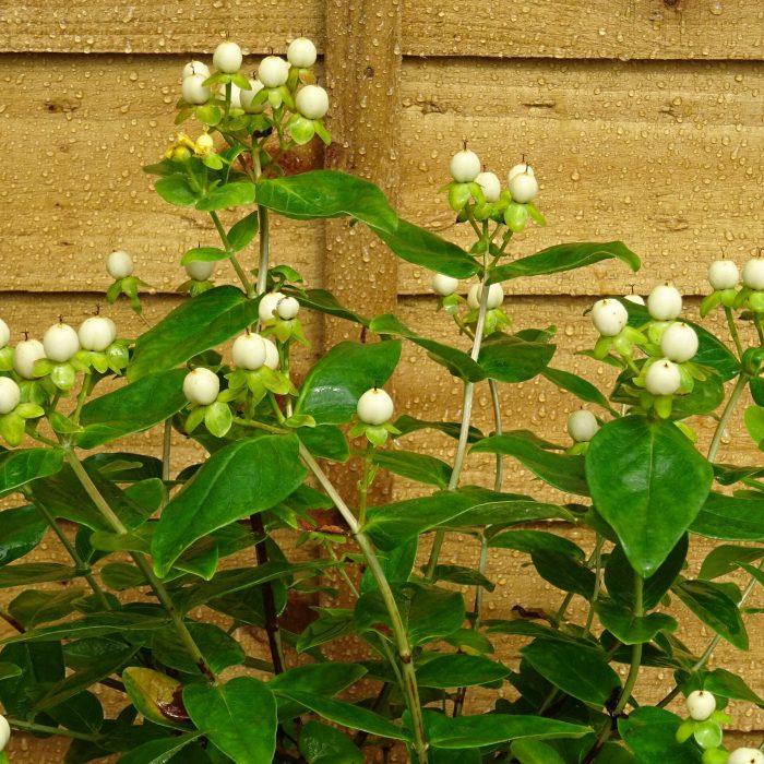 4cf884395b22845817e21116693de39e.jpg 57883614-2390-430c-a8d8-773f1a81006b