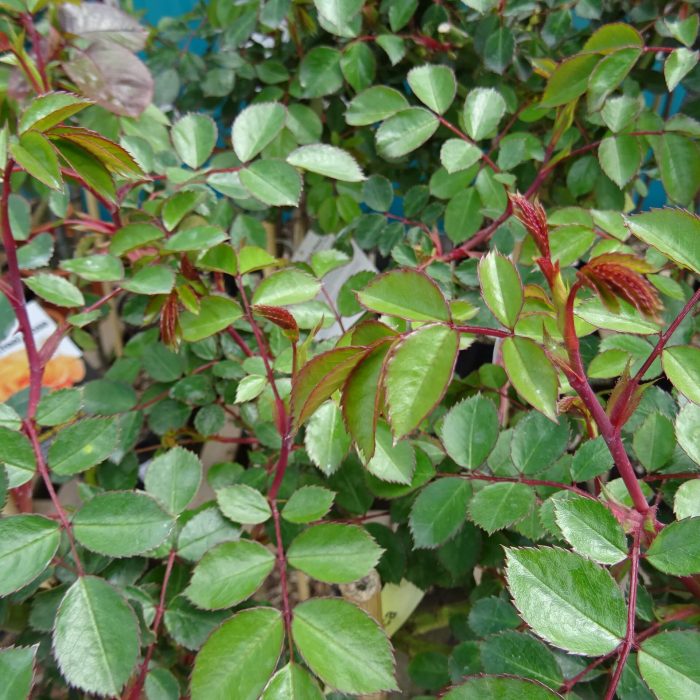 9dc73a0b-07af-4ddc-a8fa-bda5f2badc97