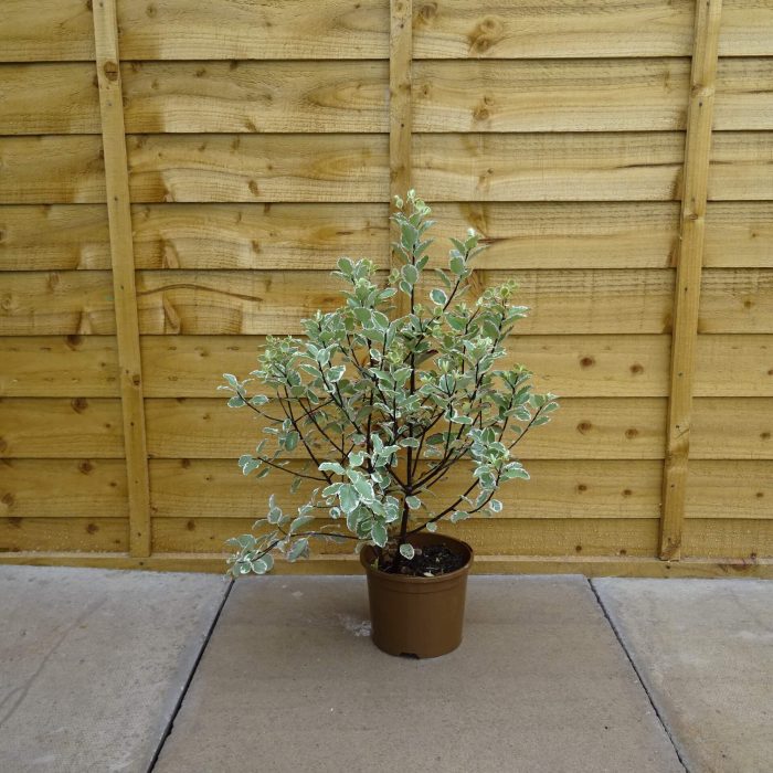 6cc46c23-5862-4fa5-b41c-9e8ff66e0845