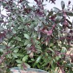 066d48cb-6dd7-400c-92ff-f79ac96e8a63