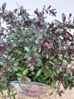 066d48cb-6dd7-400c-92ff-f79ac96e8a63