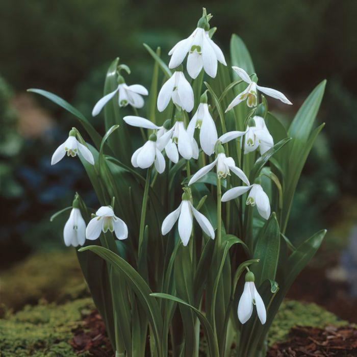 692296b2-0e4d-4934-a6a0-fdb4880e692d