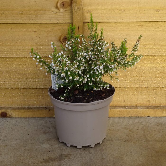 54fb7884-9a99-4d58-a567-0a0761cab790