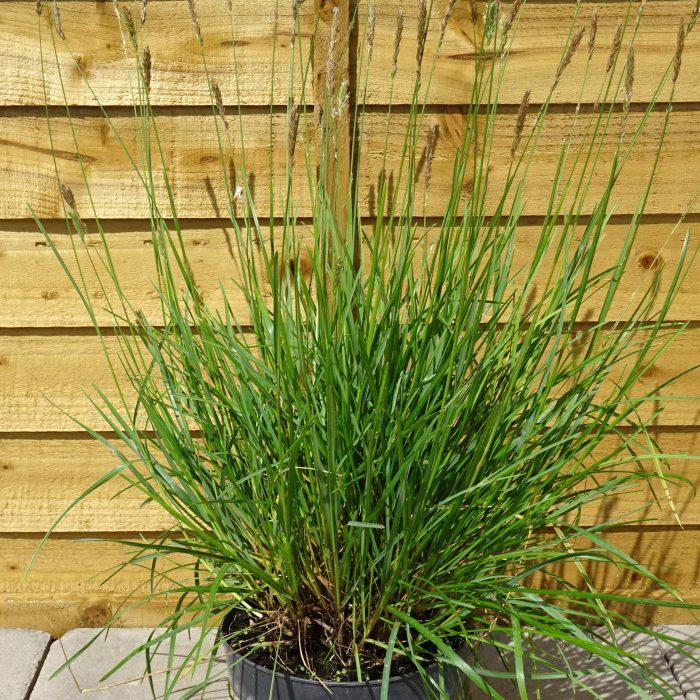 d88aede8-e65f-40e3-beb0-f081fa4dc110